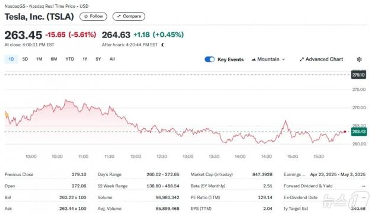 정치에 푹 빠진 머스크..테슬라 주가 7주 연속 하락, 최장기 기록