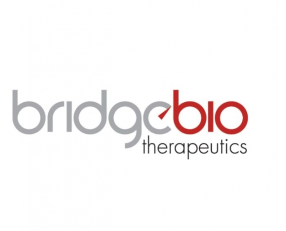 브릿지바이오, 닷새만에 하한가 탈출 시도..거래 폭발