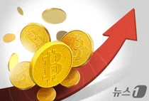 비트코인 8만1천달러마저 돌파..이유는?