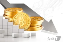 비트코인 하루 만에 1천만원 급락…미·중 갈등에 가상자산 시장 ‘패닉’