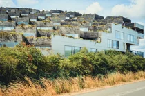 코펜하겐이 옥상을 녹색으로 바꾸는 이유