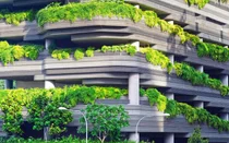 살아있는 콘크리트와 스마트시티 건설