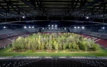 도심 경기장 대형 숲을 둘러 싼 논쟁