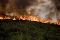 [칼럼]고성 산불 1주기로 돌아보는 스마트시티 교훈