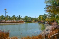 사우디 얀부호수공원, 스마트시티 얀부의 ‘美’의 아이콘