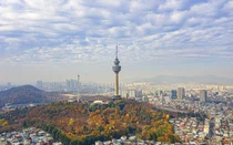 G20 글로벌 스마트시티연합, 정책 로드맵 수립 위해 대구 등 36개 파이오니어 도시 선정