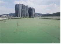 서울시, 옥상에 녹색 지대 조성 확대