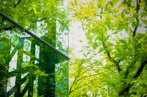 [스투/리포트] 싱크탱크 ITIF, “스마트시티 AI R&D 투자는 연방 차원에서 추진돼야”