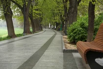 [스투/리포트] 외로움, 사망 위험 45% 높여…”도시 속 자연이 주민의 고독 줄인다“