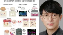 연세대 조승우 교수, 줄기세포·조직공학 기반 고도화된 '인공 뇌' 구현.. '이달의 과학기술인상'