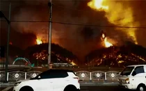 현대차그룹, 울진·삼척 산불 피해 긴급복구 지원...‘도시형 세탁구호차량’ 4대·‘통합 방역구호차량’ 1대 투입 