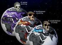 IBS 연구팀, 슈퍼컴퓨터 '알레프'로 기후모형·고고학 자료 시뮬레이션 