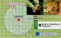 빅데이터 기반 '벌쏘임' 위험지역 알림 서비스 