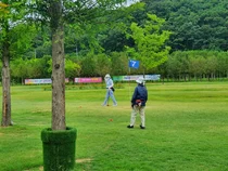 세종시·강원도 , 파크골프장 '성지' 부상