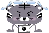 안산시, 드론 활용해 토지특성조사 실시