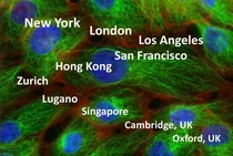 세계도시순위 1·2위는 뉴욕과 런던..서울은?