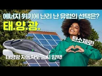 에너지 위기 속 유럽의 '태양광' 사랑