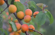 전문가 3명이 말하는 ‘탄소 제로 식량 시스템 달성을 위한 솔루션 ‘재생 농업’‘