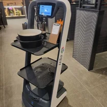 월 29.9만원 '서빙봇' 출시