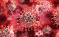 지난 20년간 전염병 1위 '독감'..코로나19는 몇 등?