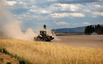 인류미래식량 가늠자로 부상중인 '캘리포니아'