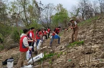 도토리 키우는 LG유플러스 ‘U+희망트리’ 