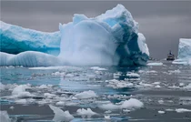 남극 해빙, 전 세계 해양 순환 파괴…생태계 경종 [스투/리포트]