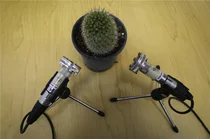 (화제)식물도 스트레스 땐 울부짖는다 [스투/리포트]