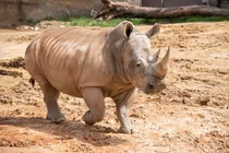 에버랜드가 10년전 500억 들여 만들었다는 로스트밸리 지금은...