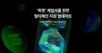 헥슬란트 옥텟, 멀티체인 지원 통해 지갑 편의성 넓혀