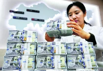 5월말 외환보유액 4209.8억 달러..전월비 57억 달러 감소