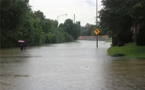 '해수면↑·지반 ↓' 가장 위험한 美 도시는?