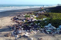 생태학적 관점에서 이미 ‘위험지대’ 진입 [스투/리포트]