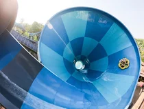 '아직 여름 아닌데'...캐리비안 베이 벌써 인기몰이