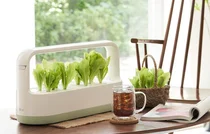 LG전자, 분갈이하는 '모듈형 씨앗키트' 출시