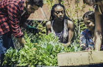 美 베조스펀드, 도시녹지화에 4억 달러 지원