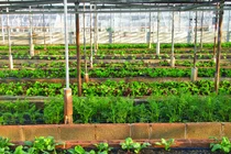 도시농업 전담부서 설치하고 도시농업책임자 채용 늘려