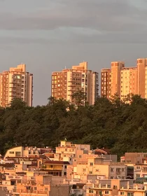 국토부, 자전거래‧허위신고 의심 32건 등 위법의심행위 541건 적발