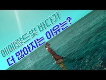 짙푸른 바다, 더 빨라지는 북극의 봄. 알고 보면 이게 다 온난화 때문이다?!