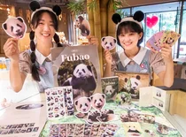 에버랜드, 아기 판다 '푸바오' 한정판 굿즈 출시