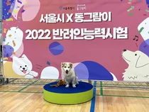내 반려동물 지식은 몇점? 서울시 2023 반려인능력시험 참가자 모집