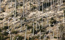 美 농작물 손해보험 보상액 급증…2001년 대비 6.5배↑