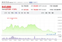 에코프로 형제, 13일 3분기 실적 발표