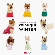 강아지 김장조끼 나온다