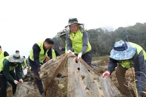 NH투자증권, ‘함께하는 마을 만들기’ 일환 농촌 일손돕기 