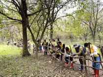 DL그룹, 연말 맞이 임직원 환경정화 봉사활동 실시