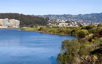 가스렌지 대신 전기렌지..득실은?