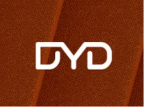 디와이디, 250억원 신주인수권부사채 공모 발행