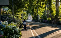 [COP28] 도시 건강을 위협하는 기후 변화에 맞서는 방법