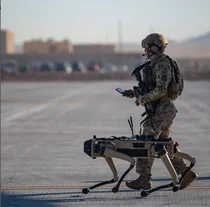 'LIG넥스원, 로봇인데 상한가 한 방 쯤이야...'